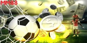 Tool auto cược thể thao